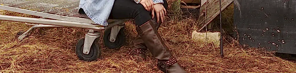 Kadın Kovboy Çizmesi